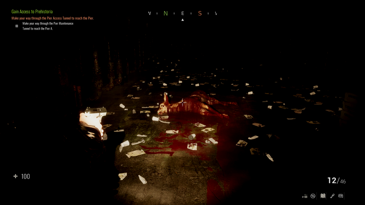 dead animal in the dark