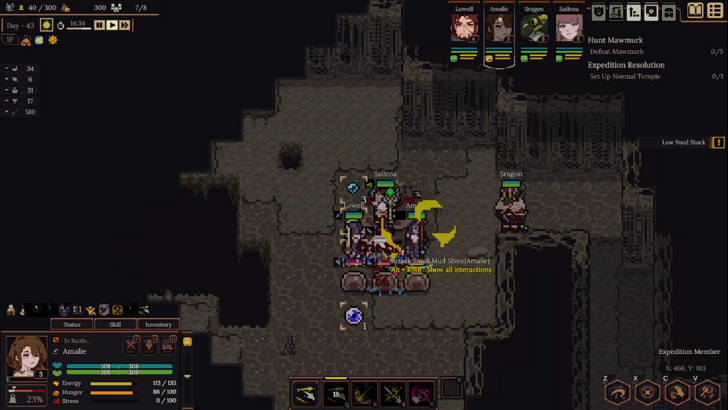dungeon settlers paused dungeon combat